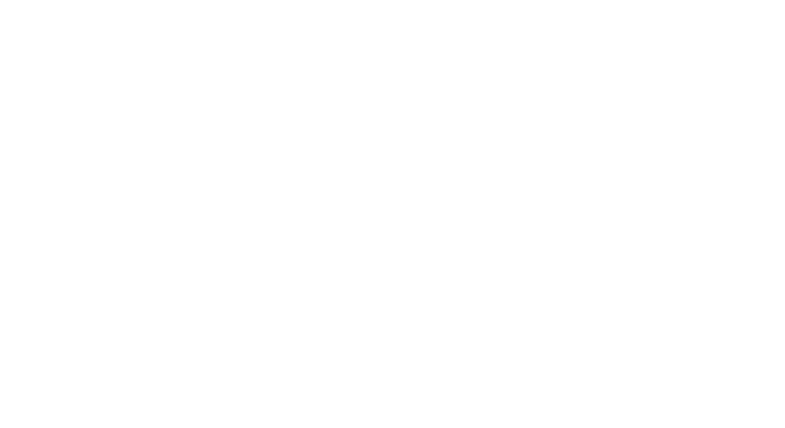 Logo Capone